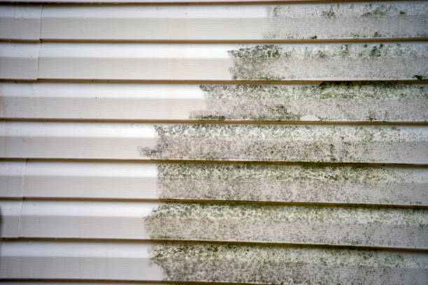 Best Carpet Removal and Disposal  in Lenoir, NC